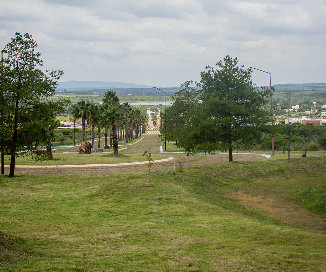 2-campo-valledelosreyes-1080x900
